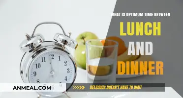 Optimal Meal Timing: Perfect Gap Between Lunch and Dinner Explained