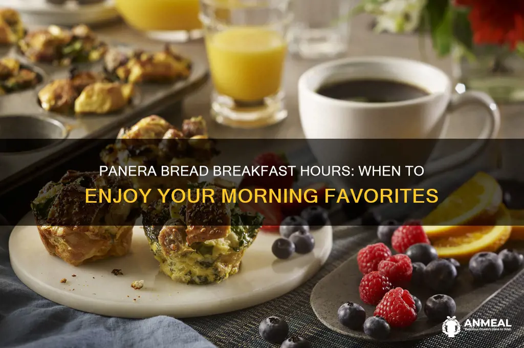 what is panera bread breakfast hours