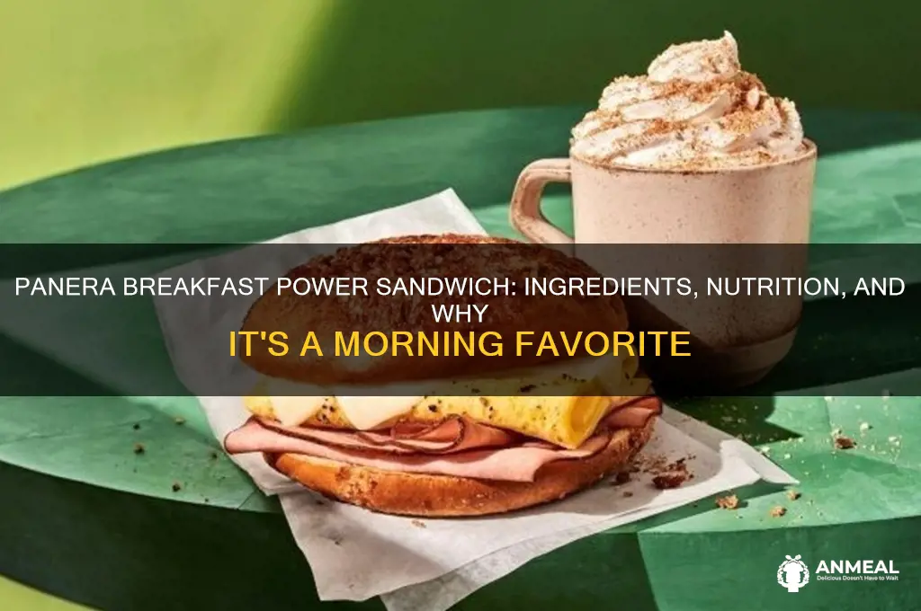 what is panera breakfast power sandwich