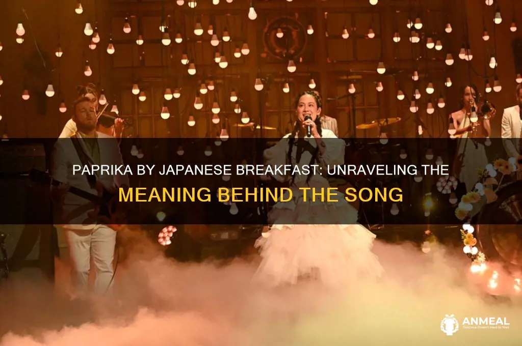 what is paprika by japanese breakfast about