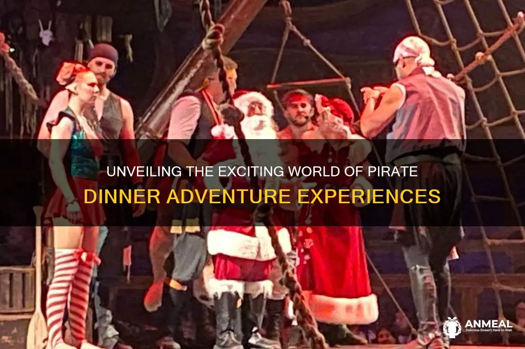 what is pirate dinner adventure