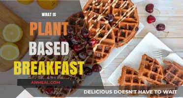 Delicious Plant-Based Breakfast Ideas for a Healthy Morning Start