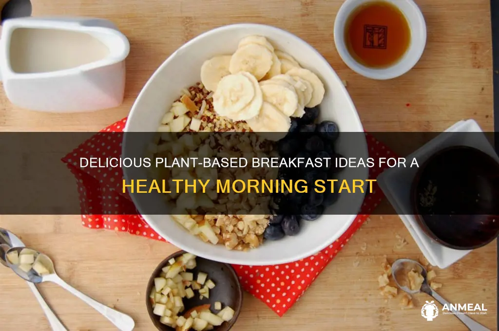 what is plant based breakfast