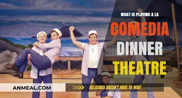 Exploring the Unique Experience of La Comedia Dinner Theatre