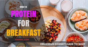 Protein-Packed Breakfast Benefits: Fuel Your Morning with Essential Nutrients