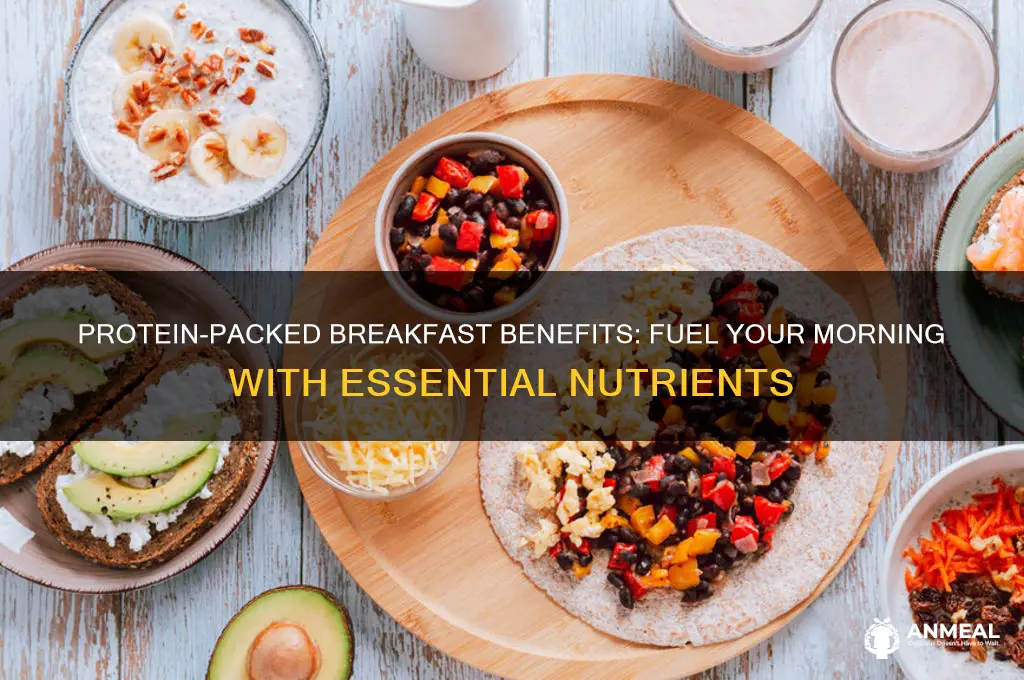 what is protein for breakfast