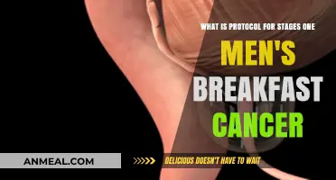 Understanding the Protocol for Stage One Men's Breakfast Cancer Treatment