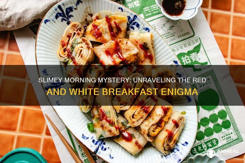 what is red and white and slimey for breakfast