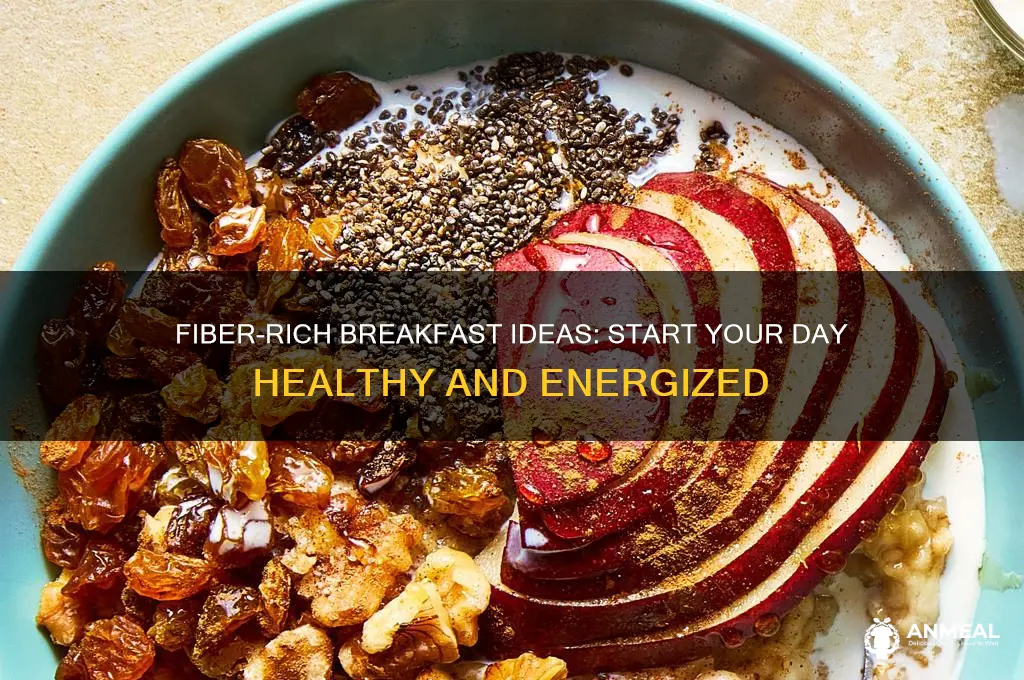 what is rich in fiber for breakfast
