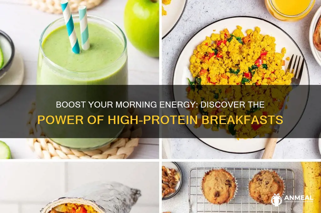 what is s high protein breakfast