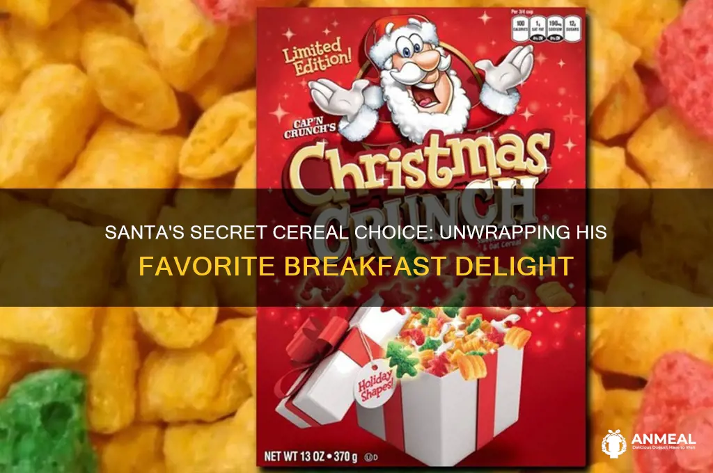 what is santa