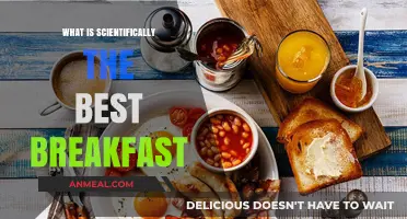 Scientifically Proven: The Ultimate Breakfast for Optimal Health and Energy
