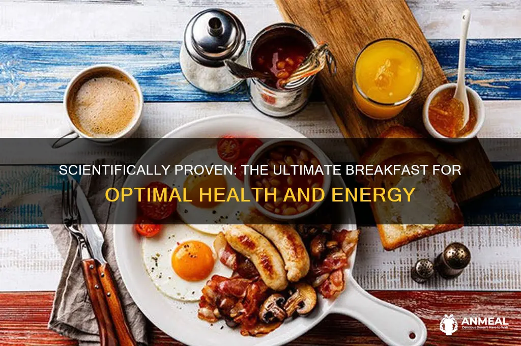 what is scientifically the best breakfast