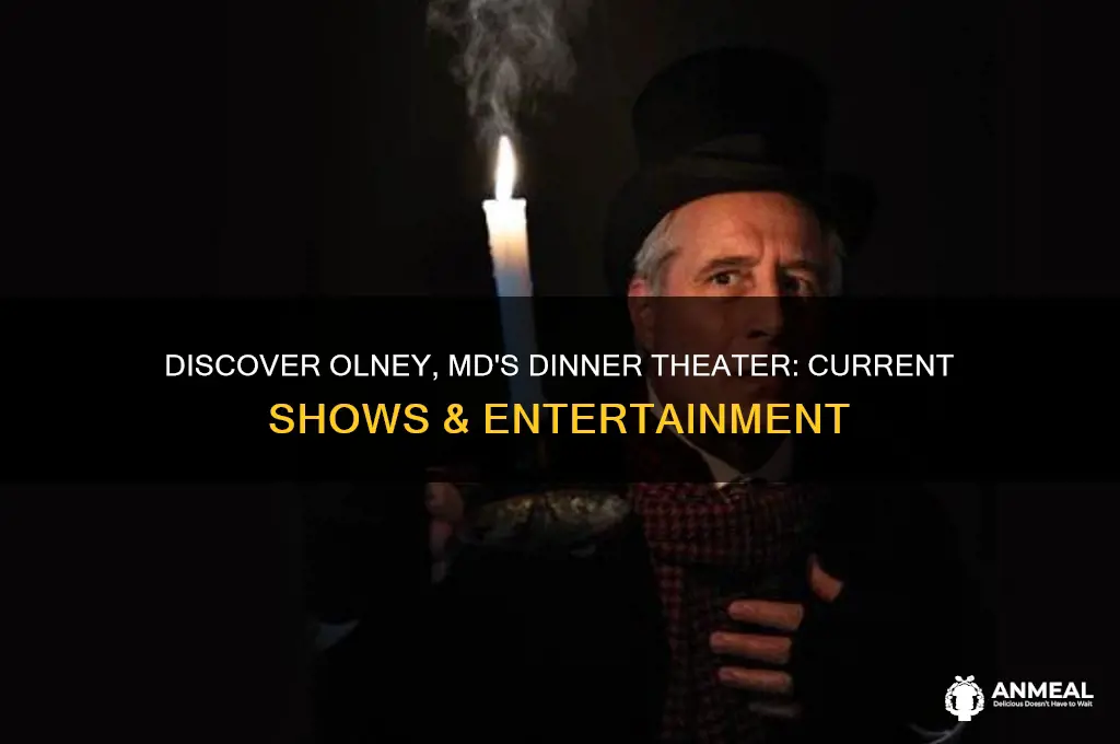 what is showing at dinner theater in olney md 3f