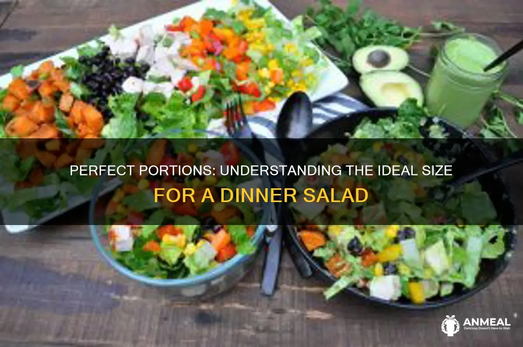 what is size of dinner salad