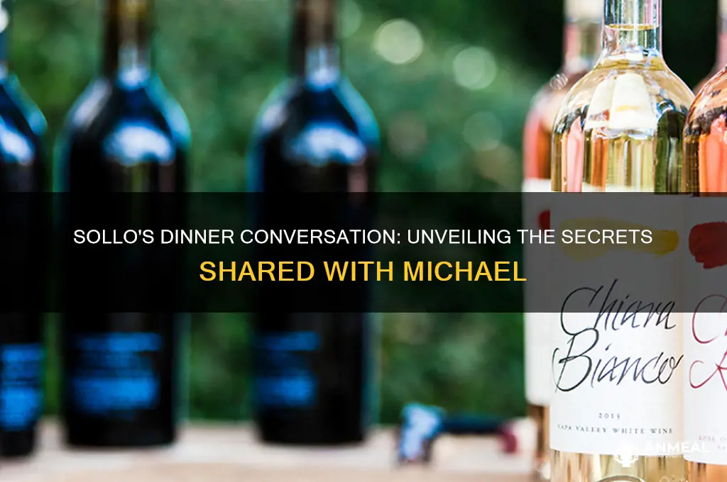 what is sollo telling michael at dinner