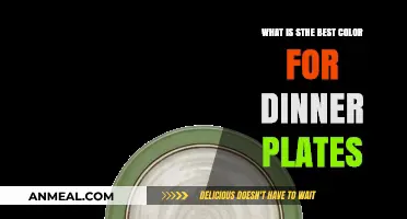 Choosing the Perfect Dinner Plate Color: Enhance Your Dining Experience