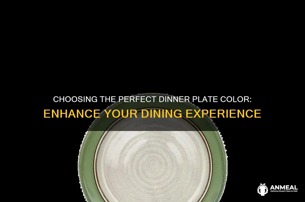 what is sthe best color for dinner plates