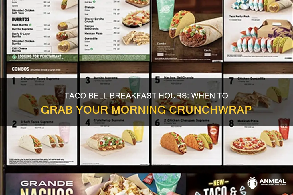 what is taco bell