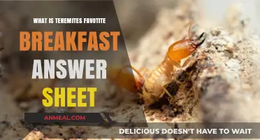 Termites' Favorite Breakfast Answer Sheet: Unveiling Their Morning Meal Secrets