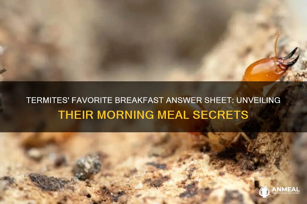 what is teremites favotite breakfast answer sheet