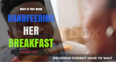 Handfeeding Her Breakfast: Unraveling the Meaning Behind This Tender Gesture