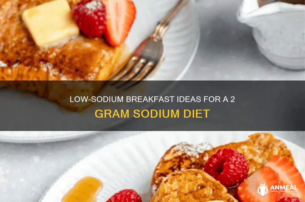 what is the 2 gram sodium diet breakfast