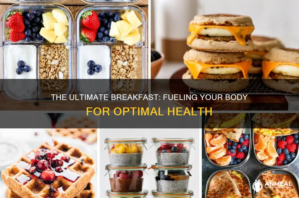 what is the absolute best breakfast for the human body