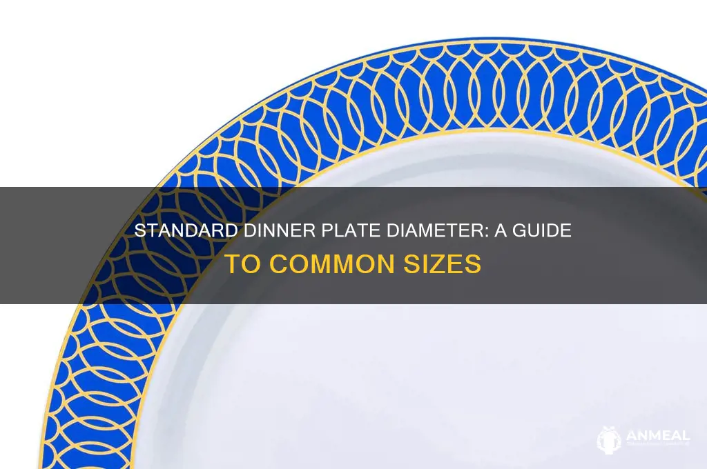 what is the approximate diameter of a dinner plate