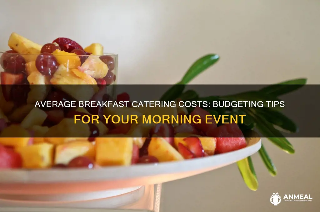 what is the average breakfast catering cost