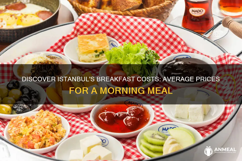what is the average cost of breakfast in istanbul