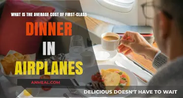 Exploring the Average Cost of First-Class In-Flight Dining Experience
