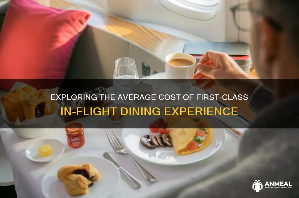 what is the average cost of first-class dinner in airplanes
