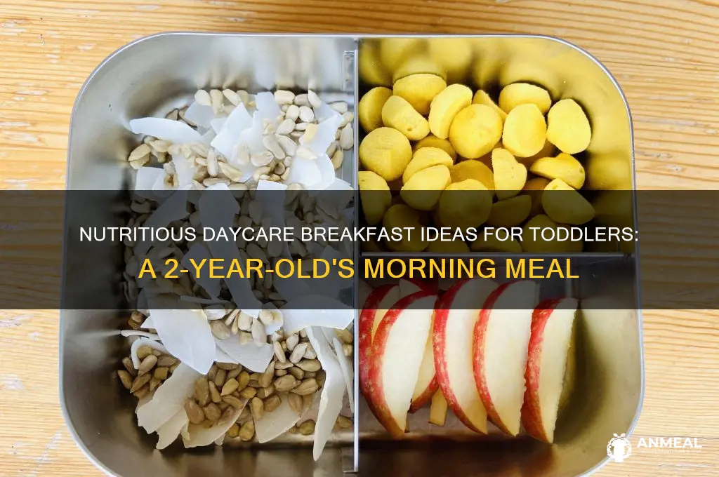 what is the average daycare breakfast for 2 year old