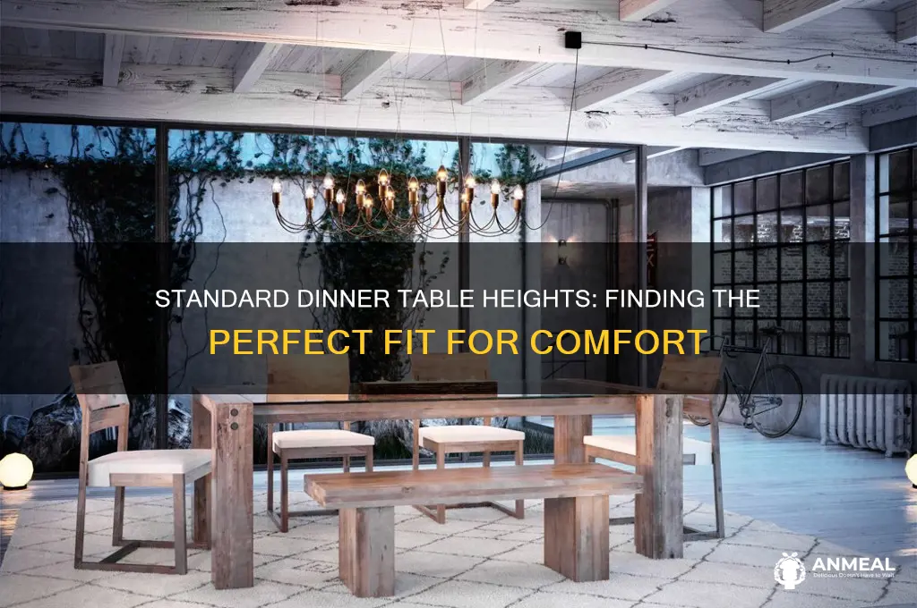what is the average dinner table height