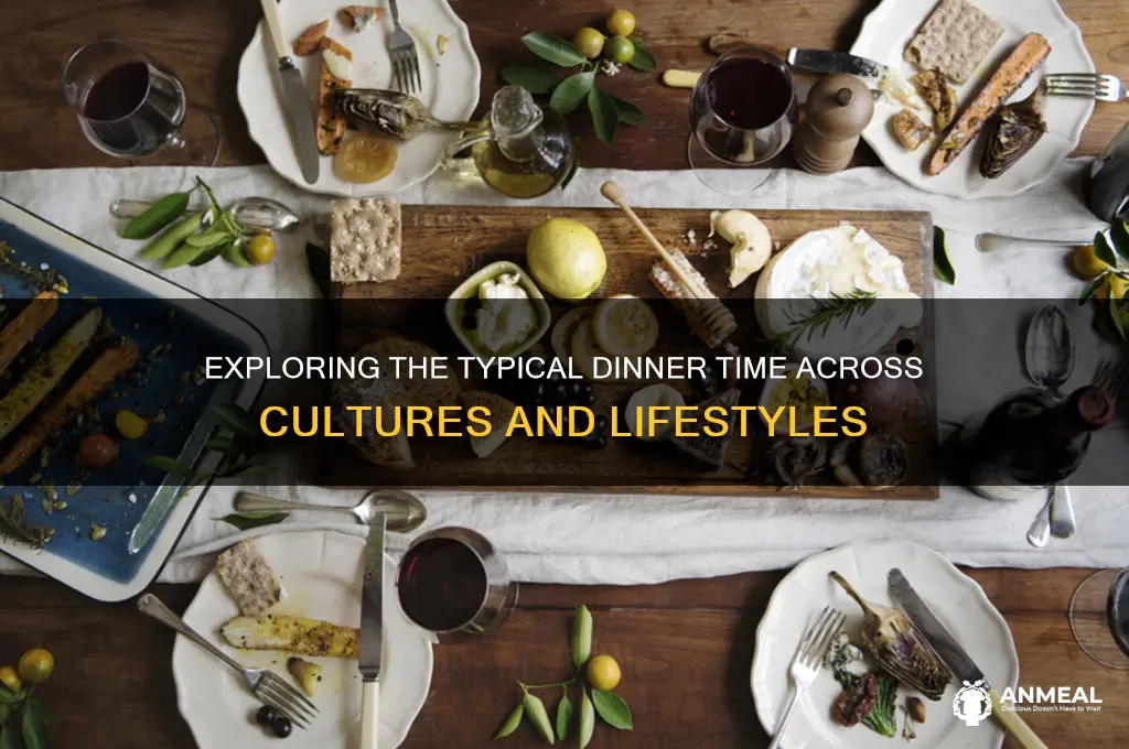 what is the average dinner time