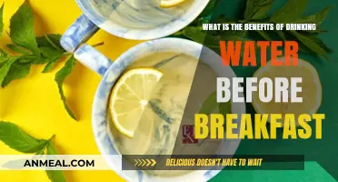 Boost Your Morning: Benefits of Drinking Water Before Breakfast