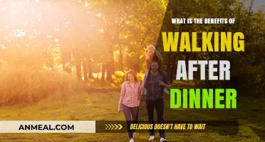 Post-Dinner Strolls: Surprising Health Benefits of Walking After Meals