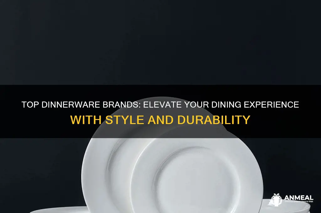 what is the best brand of dinner ware