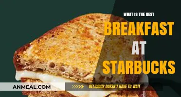 Top Starbucks Breakfast Picks: Fuel Your Morning with Delicious Choices