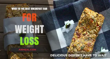Healthy Breakfast Bars for Weight Loss: Top Picks and Tips