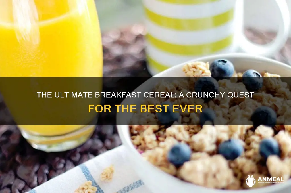 what is the best breakfast cereal ever