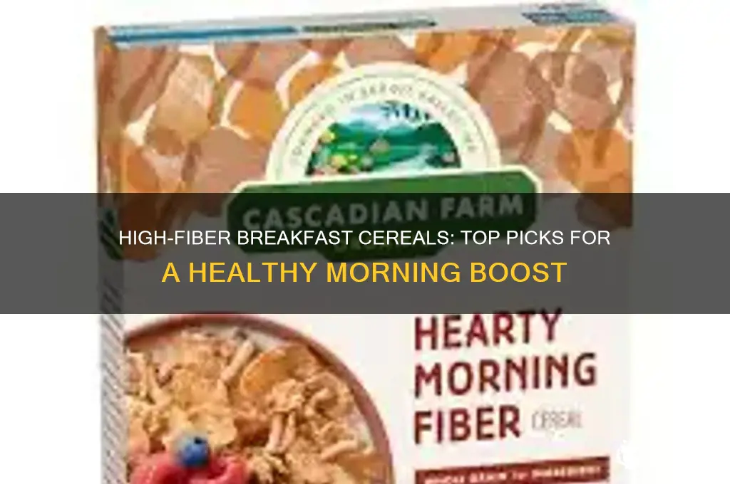 what is the best breakfast cereal for fibre