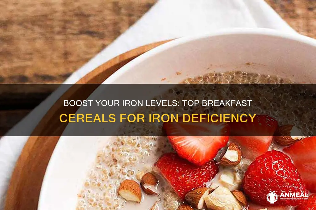what is the best breakfast cereal for iron deficiency