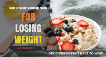 Healthy Breakfast Cereals: Top Picks for Weight Loss and Nutrition