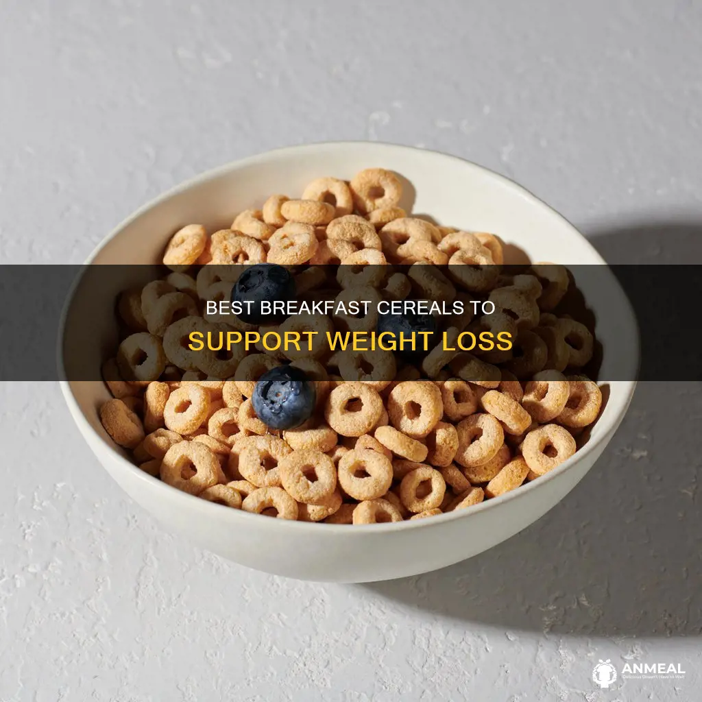 what is the best breakfast cereal for weight loss