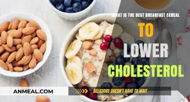 Heart-Healthy Mornings: Top Cereals to Lower Cholesterol Naturally