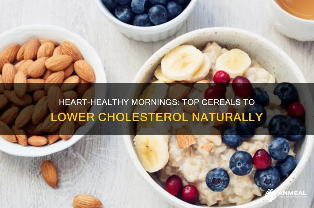 what is the best breakfast cereal to lower cholesterol