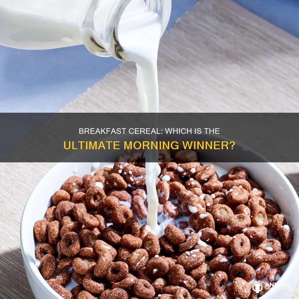 what is the best breakfast cereal