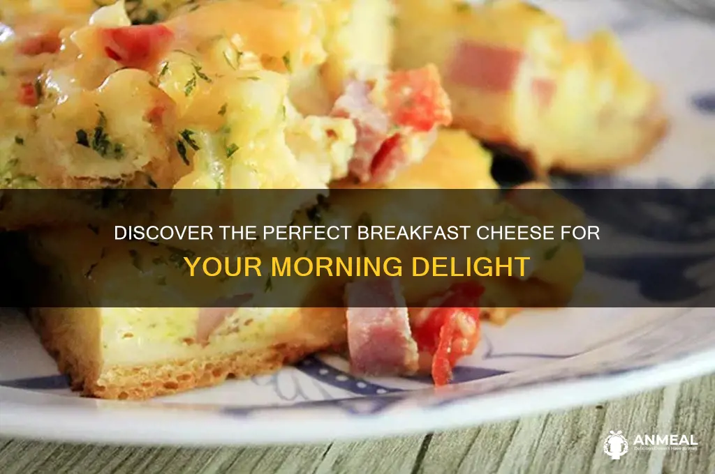 what is the best breakfast cheese
